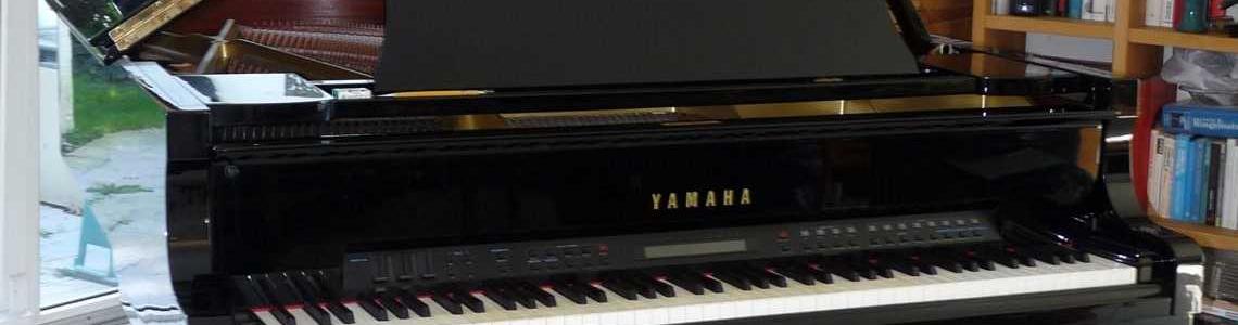 Flügel Rarität Flügel