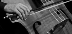 Musikunterricht Radebeul