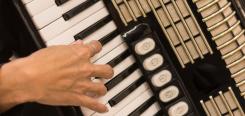 Unterricht für Gitarre, Akkordeon, Blockflöte, Querflöte Bild von Akkordeon