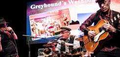 Street Corner Blues von Greyhound's Washboard Band Keyvisual