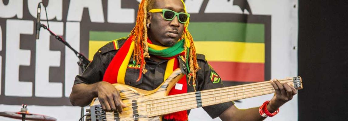 Reggae-Musik Keyvisual