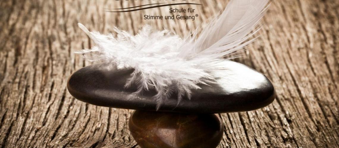 stimmt's? Schule für Stimme und Gesang