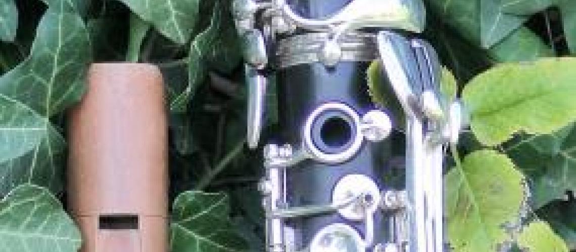 Klarinette und Blockflöte Foto von Klarinette und Blockflöte