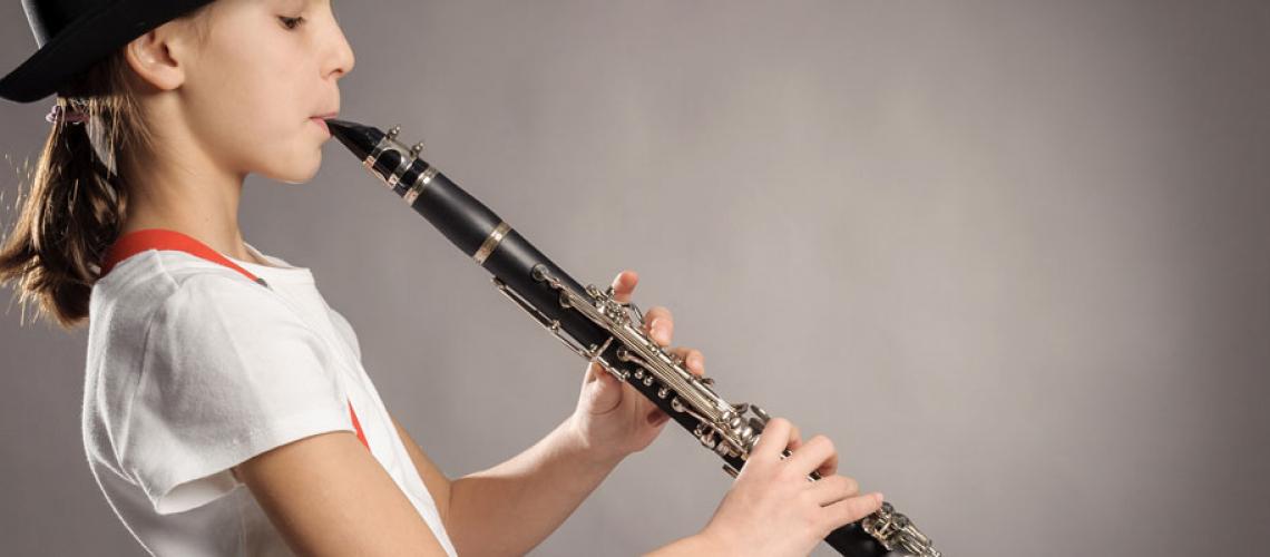 Diplom Instrumentalpädagoge und Orchestermusiker Unterricht